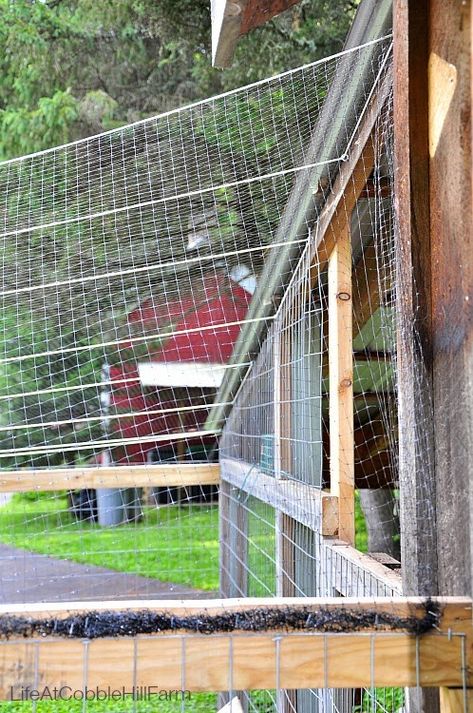 The Chicken Coop At Cobble Hill Farm | Life At Cobble Hill Farm Farm Chicken Coop, A Frame Chicken Coop, Small Homestead, Cheap Chicken Coops, Chicken Fence, Chicken Flock, Chicken Coop Garden, Portable Chicken Coop, Chicken Pen