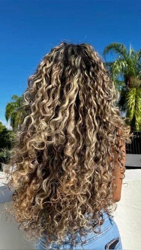 Partial Crown Highlights, Sandy Blonde Highlights Curly Hair, Latina Curly Hair Color Ideas, Brown Hair With Highlights On Curly Hair, Long Curly Hair With Blonde Highlights, Brown Curly Hair Boliage, Curly Dyed Hair Natural Curls Blonde, Blonde Tips Curly Hair, Hair Dye Ideas For Curly Hair Dark Brown