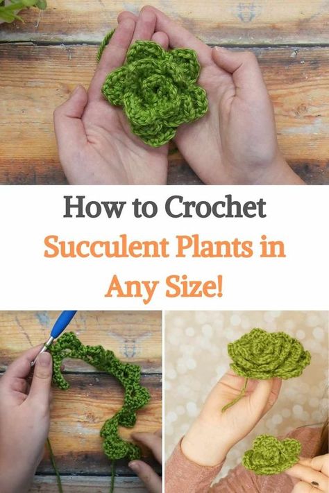 Succulents have taken over every modern home in recent years, and why not? they are all super cute. And if you're a big fan of them, you'll love this tutorial from Swerella on how to crochet succulents in any size you want, because everyone needs a succulent yarn in their life. If you've ever crocheted roses, this one is pretty similar, but with a slight adjustment to the petals to make them more pointed on the top of the leaves. So if you've ever tried the roses this will be a breeze. Find... Succulent Crochet Free Pattern, Crochet Succulents Free Pattern, Yarn Plants, Folklore Crochet, Plants Crochet, Plant Crochet, Crochet Plants, Crochet Turtle Pattern, Crochet Gift Ideas