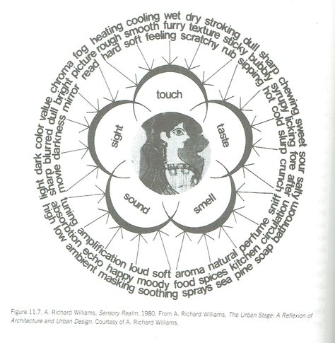 Sensory Design fig 11.7, The Sensory Realm by A Richard Williams, 1980. Originally published in Williams' The Urban Stage: A Reflexion of Architecture and Urban Design. Emotional Architecture Spaces, Sensory Perception Architecture, Sensory Experience Architecture, Multi Sensory Architecture, Sensory Graphic Design, Sensory Architecture Diagram, Multisensory Architecture, Sensory Design Architecture, Healing Space Architecture