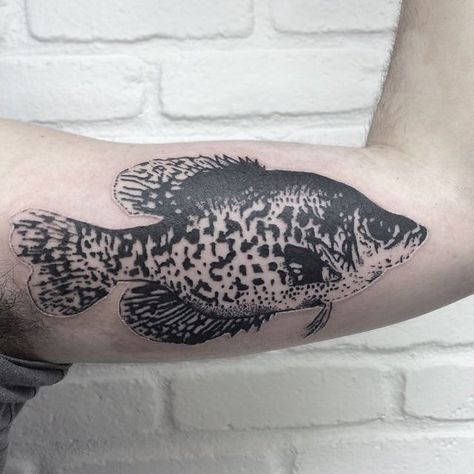 Crappie Tattoo, Fishing Tattoos, Fly Fishing Tattoo, Fishing Hook Tattoo, Tattoo Journal, Hook Tattoos, Hunting Tattoos, Quote Tattoos Girls, Small Quote Tattoos