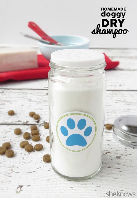 This DIY Dry Shampoo for Dogs Is Going to Make Bath Time So Much Easier – SheKnows Dog Hacks Diy, Dry Shampoo For Dogs, Diy Dog Shampoo, Diy Dry Shampoo, Shampoo Recipe, Diy Shampoo, Baby Bath Time, Baking Soda Shampoo, Dog Bath