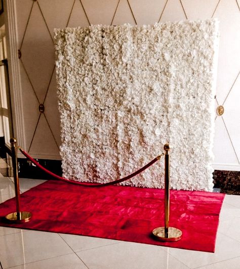 Birthday Red Carpet Theme, Red Carpet At Wedding, Red Carpet Bridal Shower Theme, Red Black And Gold Photo Backdrop, Red Carpet Set Up, Red Carpet Dance Decoration, Photo Area Party, Red Carpet Entrance Ideas Entryway, Red Carpet Diy