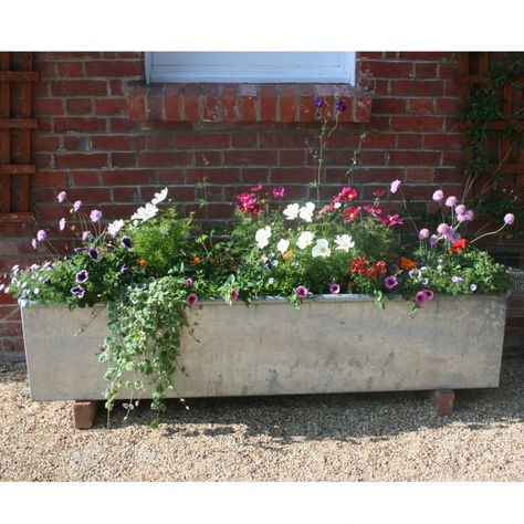 Galvanized Water Trough, Livestock Water Trough, Metal Trough Planter, Galvanized Trough, Trough Garden, Plant Troughs, Metal Trough, Garden Troughs, Shady Garden