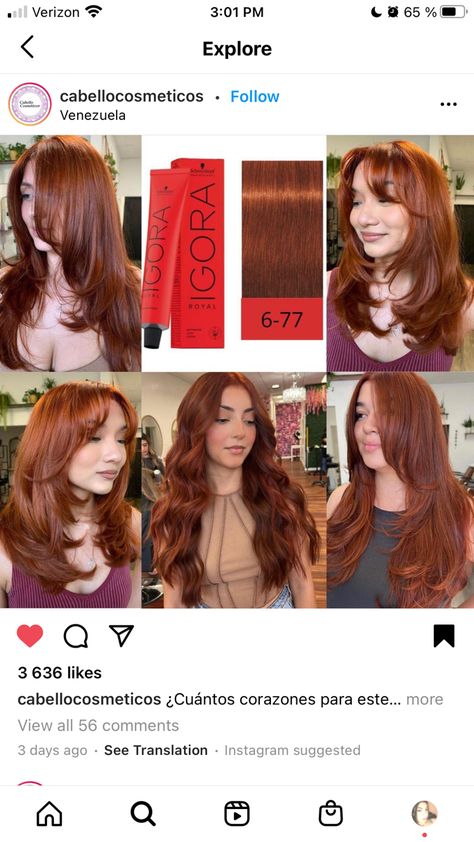 Copper Hair Igora, Copper Hair For Neutral Skin Tone, Copper Hair Tones, Pastel Copper Hair, Auburn Hair Formula, Igora Formulas, Alburn Hair, Highlight And Balayage, Medium Auburn Hair Color