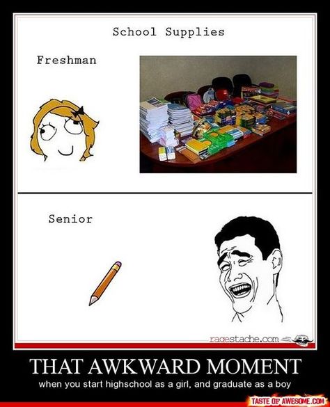 School Funny Pictures, Freshman Vs Senior, Freshmen Vs Seniors, High School Vs College, High School Funny, School Funny, Rage Comics, School Things, College Humor