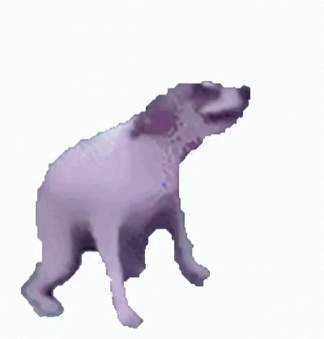 Dog Dance GIF - Dog Dance CrazyDog - Discover & Share GIFs Funny Transparent Gif, Silly Gifs No Background, Dancing Dog Gif, Google Backgrounds, Meme Gifs, Meme Gif, Dog Animation, Random Gif, Happy Gif