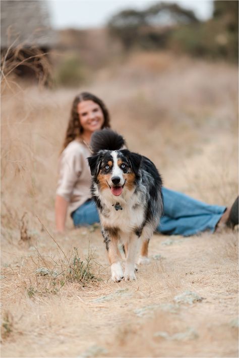 Senior Pic Ideas With Dogs, Australian Shepherd Photoshoot, Vet Tech Senior Pictures, Cute Poses With Your Dog, Horse And Dog Senior Pictures, Unique Senior Picture Ideas With Dogs, Senior Pic With Dog, Senior Picture Ideas Dog, Horse Senior Pictures Ideas