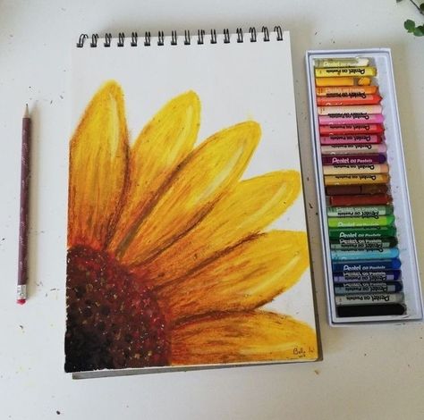 Things To Make With Oil Pastels, Painting By Oil Pastel, Drawing Ideas Oil Color, Drawings Using Oil Pastels, Oil Pastels Art Aesthetic, Drawing With Oil Color, Drawing In Oil Pastels, Sunflower Pastel Drawing, Sunflower Pastel Art