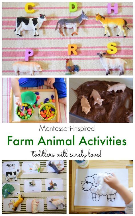 Montessori-Inspired Farm Animal Activities for Toddlers from The Pinay Homeschooler Farm Animal Activities For Toddlers, Animal Activities For Toddlers, Farm Unit Study, Farm Animal Activities, Months Activities, Farm Week, School Farm, Farm Lessons, Farm Animals Activities