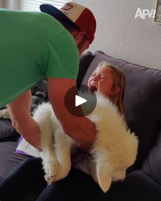 14M views · 216K reactions | New Pets | pet, fur | Who's bringing home a new fur baby? | By America's Funniest Home Videos | Facebook Cute Dogs Fluffy, America's Funniest Home Videos, Baby Pets, Funny Home Videos, Dog Faces, Baby Animal Videos, America Funny, Baby Gif