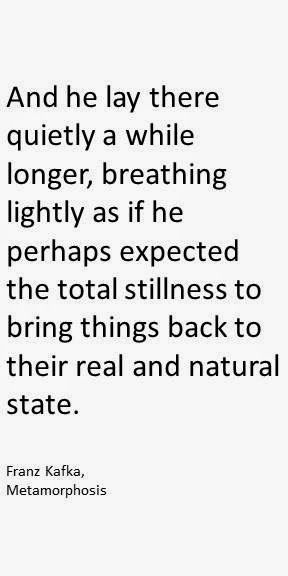 Franz #Kafka, #Metamorphosis quote,  "And he lay there quietly a while longer, breathing lightly as if he perhaps expected the total stillness to bring things back to their real and natural state." Kafka Quotes Metamorphosis, Franz Kafka Metamorphosis Quotes, The Metamorphosis Quotes, The Metamorphosis Kafka Art, Metamorphosis Book Quotes, Metamorphosis Kafka, Metamorphosis Quotes, Metamorphosis Franz Kafka Art, Franz Kafka Metamorphosis