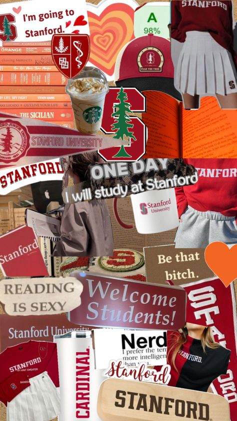 Stanford Medical School Aesthetic, Mit Acceptance Letter, Stanford Motivation, Stanford Law School, Education Manifestation, Stanford University Medical School, Stanford Wallpaper, Stanford University Aesthetic, Stanford Aesthetic