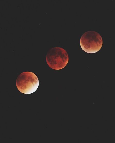 Via @thewanderingpolymath on instagram. Tonight's blood moon! Hunter Aesthetic, Blood Hunter, Werewolf Aesthetic, Red Moon, Blood Moon, Crescent City, Deep Forest, Monster Hunter, Character Aesthetic