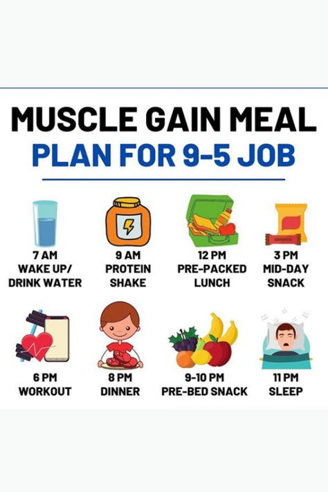 full plan for your daily routine if you are a jober. it help you manage your morning to night health plan.   #dailyroutineplan, #pinterest Muscle Gain Meal Plan, 9 5 Job, Healthy Fit, Fitness Blogger, Health Plan, Healthy Fitness, Fit Body, Fitness Coach, Fitness Trainer