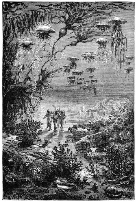 Sea Illustration, Sea Diving, Deep Sea Diving, Theme Tattoo, Leagues Under The Sea, Antique Images, Jules Verne, Black And White Illustration, Sci Fi Art