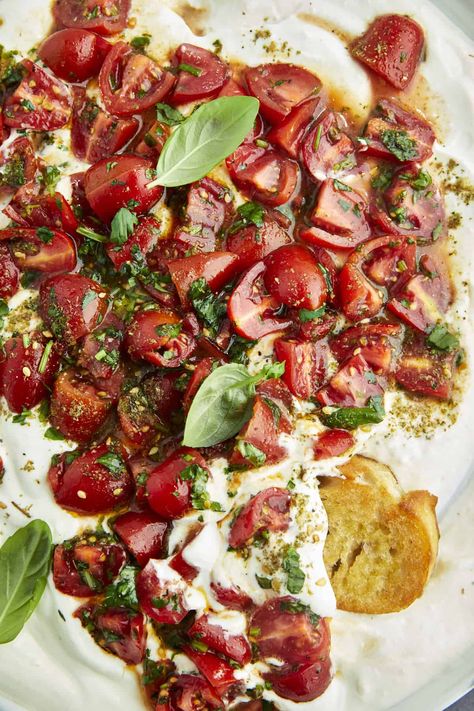 Overhead image of whipped cottage cheese and tomatoes topped with fresh herbs. Cottage Cheese And Tomatoes, Whipped Cottage Cheese Dip, Cottage Cheese Dip, Whipped Cottage Cheese, Cottage Cheese Recipes Healthy, Cottage Cheese Dips, 20 Grams Of Protein, Food Dolls, Marinated Tomatoes