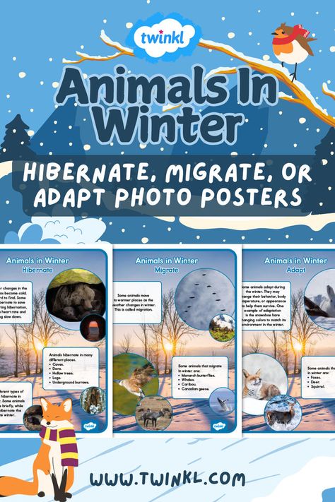 Animals in Winter: Hibernate, Migrate, or Adapt Photo Posters Hibernate Migrate Adapt, Adaptations Activities, January Themes, Animals In Winter, Animals And Their Homes, Daycare Themes, Winter Science, Animal Lessons, Animal Adaptations