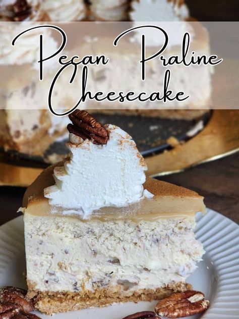 Pecan Praline Cheesecake Recipe with Cinnamon Whipped Cream - The Proverbs Kitchen Pecan Praline Cheesecake Recipe, Pecan Praline Cheesecake, Praline Cheesecake, Cinnamon Whipped Cream, Pralines And Cream, Vanilla Cream Cheese, Pecan Praline, Pecan Pie Cheesecake, Pecan Cheesecake