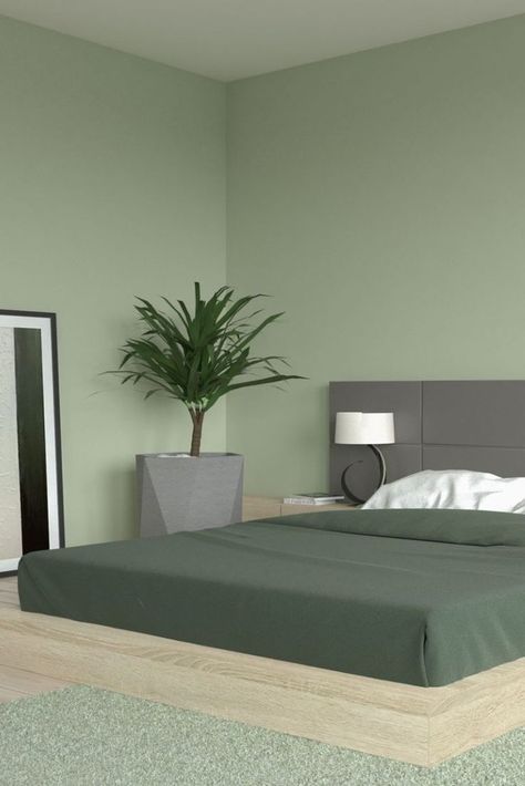 Sage Green Walls with Dark Green Bedding Aesthetic House Paint Interior, Room Painting Ideas Light Colors, Green Color Wall Design, Asthetic Wall Colors Ideas, Sage Green Bedroom Colour Palettes Accent Wall, Room Color Ideas Bedroom Paint Aesthetic, Kamar Sage Green, Green Room Design Ideas, Wall Painting Ideas Green Shades