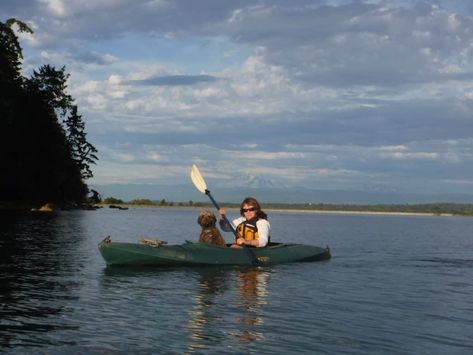 Kayaking With Dogs, Ocean Kayak, Kayak Seats, Dog Seat, Inflatable Kayak, Dog People, Portrait Photography Poses, Kayaks, Dog Training Tips