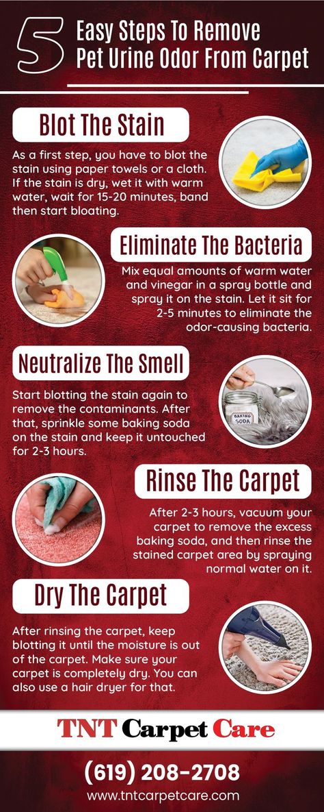 Carpet Cleaning Clean Pet Stains From Carpet, Diy Carpet Stain Remover Pets, How To Clean Dog Pee Out Of Rug, Removing Dog Urine From Carpet, How To Deep Clean Carpet Pet Urine, Pet Stains Out Of Carpet Urine Smells, Remove Dog Pee Smell From Carpet, How To Clean Cat Pee Out Of Carpet, How To Remove Urine Smell From Carpet