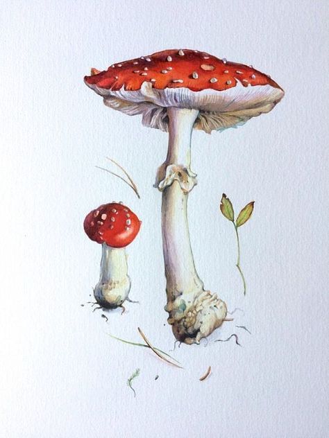 Fungi Illustration, Mushroom Pictures, Mushroom Drawing, Illustration Botanique, Watercolor Images, Scientific Illustration, Mushroom Art, Botanical Drawings, Art And Illustration