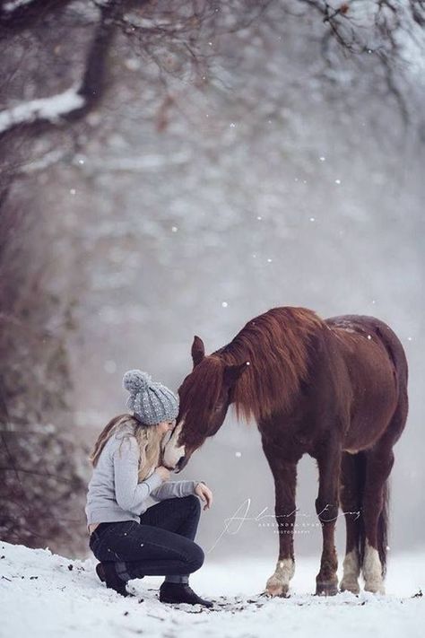 Equine Photography Poses, Horse Photo Shoot, Horse Photoshoot Ideas, Horse Shoot, Horse Photography Poses, Horse Photoshoot, Pictures With Horses, Winter Horse, Winter Shoot