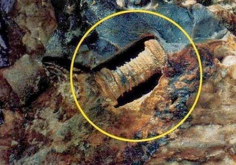 300 million-year-old screw-A Russian research team known as the Kosmopoisk Group, which investigates UFOs and paranormal activity, claims to have found a one-inch screw embedded inside a rock that is 300 million years old. They say the screw is the remains of an ancient form of technology that proves extra-terrestrials visited Earth millions of years ago. However, scientists say the ‘screw’ is nothing more than a fossilized sea creature called a Crinoid. The Russian team were investigating t... Out Of Place Artifacts, Creature Marine, Unexplained Mysteries, Ancient Astronaut, Unexplained Phenomena, Ancient Technology, Archaeological Discoveries, Ancient Origins, Mystery Of History