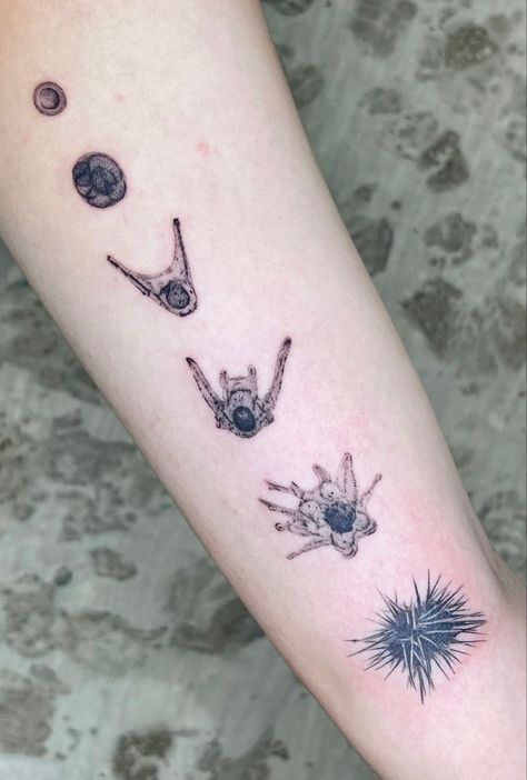 Sea Urchin Tattoo, Love Projects, Brooklyn Tattoo, Stages Of Development, Tattoo Script, Tattoo Needles, Ink Master, Foot Tattoo, Face Tattoo