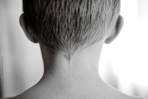 © Dina Giangregorio 2008 Neck Hairline, Nape Of Neck, Free Stock Photos, Antonio Mora Artwork, Royalty Free Stock Photos, Royalty, Stock Photos, Hair