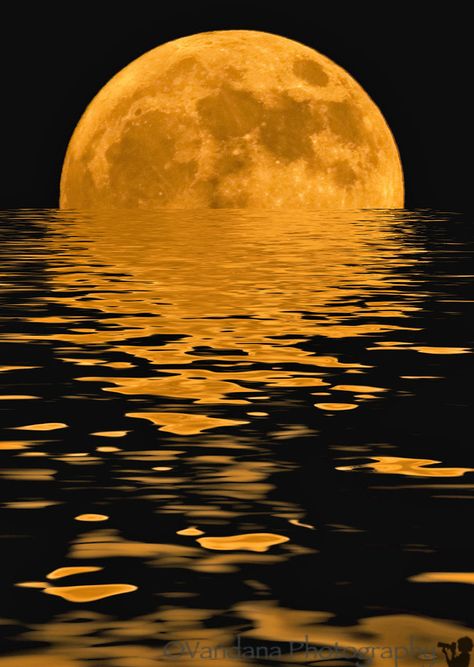 ~~August 18, 2008 - Moonrise on water by Vandana Photography~~ Cer Nocturn, Cap Art, Moon Images, Shoot The Moon, Moon Photos, Moon Moon, Moon Pictures, Moon Photography, Moon Rise