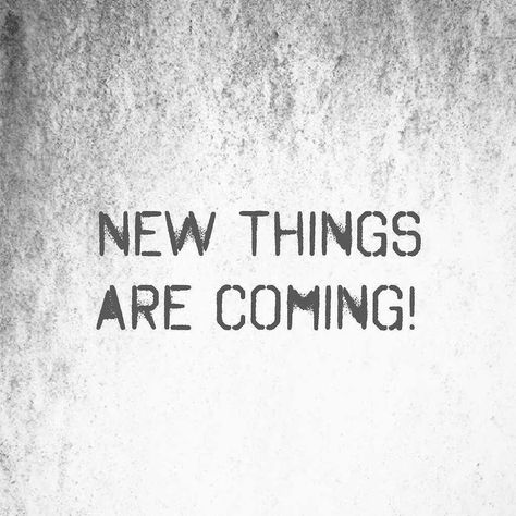 So since I will not be in the #salon for a while I would still like to relevant to all my followers! In the upcoming weeks I will be sharing health tips that will benefit your hair skin and nails. If you have any questions or would like for information about any topics I will be happynto help. Stay beautiful  #hair #hairstylist #haircut #haircolor #menshair #makeup #mua #nails #manicure #pedicure #wax #eyebrow #eyebrows #spa #facial #lahair #ochair #beauty #blowout #losangeles #orangecounty #whi Blowout Haircut, Spa Facial, Hair Skin And Nails, My Followers, Nails Manicure, Word Tattoos, The Salon, Manicure Pedicure, Hair Skin