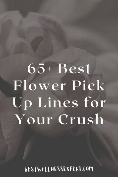 65+ Best Flower Pick Up Lines for Your Crush Plant Pick Up Lines, Flower Pick Up Lines, Flower Pickup Lines, Cute Pick Up Lines For Crush, Cute Pickup Lines, Corny Pick Up Lines, For Your Crush, Cheesy Love Quotes, Flirty Lines