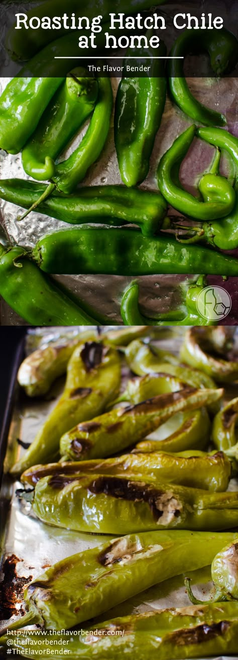 Hatch Green Chili Recipe, Hatch Chilies, Hatch Chili Recipes, Hatch Peppers, Hatch Chile Recipes, Roasted Green Chili, Hatch Green Chili, Green Chile Recipes, Green Chili Recipes