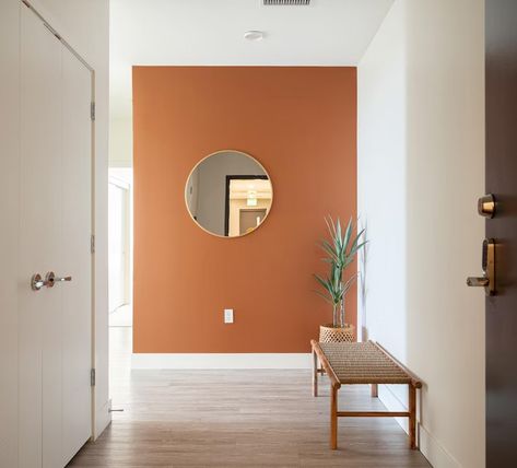 Terra Cotta Paint Color, Orange Accent Walls, Earthy Terracotta, Terracotta Paint, Ghost Ranch, Orange Rooms, Color Terracota, Accent Wall Colors, Organic Compounds