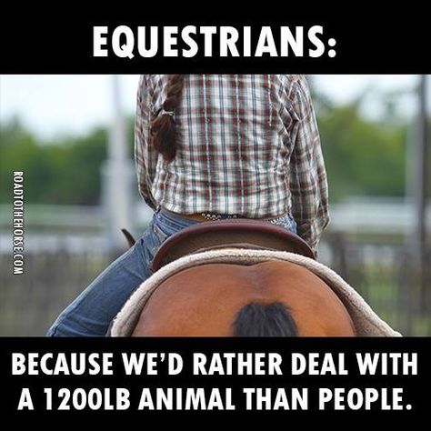 Best Tack Colors For Paint Horses, Sarah Stone, Equestrian Memes, Horse Sayings, Equine Quotes, Funny Horse Memes, Horse Meme, Horse Memes, Cowgirl Quote