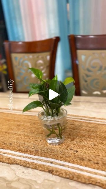 Shilpi (LetsKraftify) on Instagram: "Pothos Decoration idea in Glass 🌱 For you all, as you have shown so much love to the first one💚🤩  📌Check it on my pinned reels🎥in case you have missed   Like Save & Share with plant lovers 💚  ✔️Follow @letskraftify for more💚  [plants decor idea, propogation idea, easy diy, creative gardening, diy decor, pothos decoration]  . . . . . . . . . #letskraftify #moneyplant #moneyplantdecoration #pothos #diydecor #plantdecor #plantreels #plants #indoorplants  #homegardening #plantdecoration #plantdecorationidea #plantsinwater #indoorplantsdecor #potting #creativegardening #explore_yourdecor #xplore95i" Diy Glass Planters, Pothos Ideas, Glass Flower Pot, Plant In Glass, Gardening Diy, Plant Hacks, Patio Planters, Plants Decor, Glass Planter