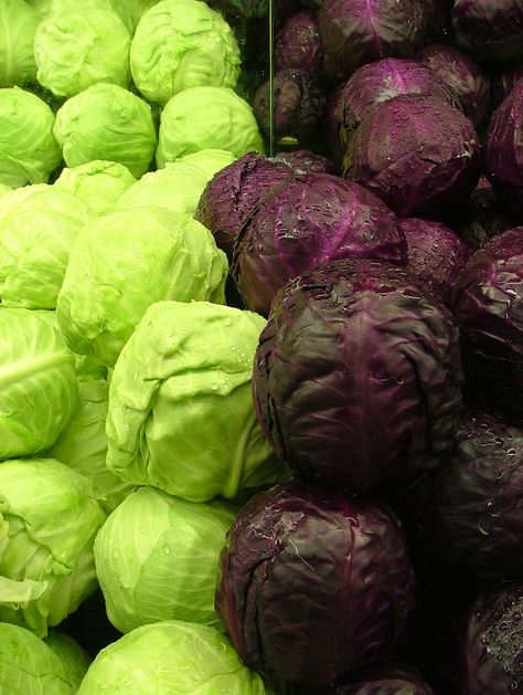 Health and Nutritional Benefits of Cabbage Cabbage Bread, Cabbage Health Benefits, Cabbage Varieties, Cabbage Benefits, Cabbage Soup Diet, Backyard Vegetable Gardens, Purple Cabbage, Cabbages, Green Cabbage