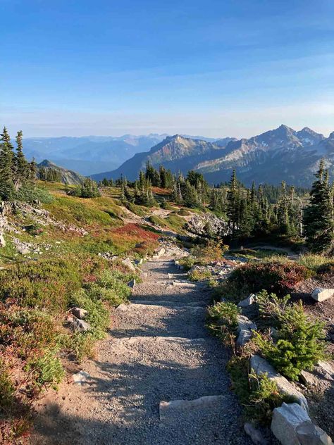 Best Fall Hikes in Mount Rainier National Park, Washington State, USA Washington State Nature, National Parks Aesthetic, National Park Aesthetic, Washington Trip, Fall Hikes, Washington State Parks, Mt Rainier National Park, Mount Rainier National Park, National Park Wedding