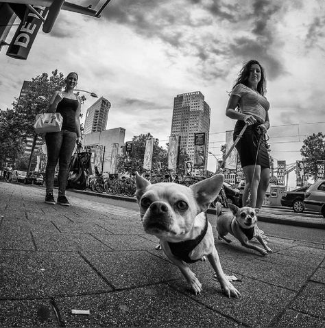 #ClippedOnIssuu from Street vol 3 Street Photography Model, Fisheye Photography, Wide Angle Photography, Street Photography Tips, Street Photography Urban, Street Photography Portrait, Street Photography People, City Streets Photography, Street Pictures