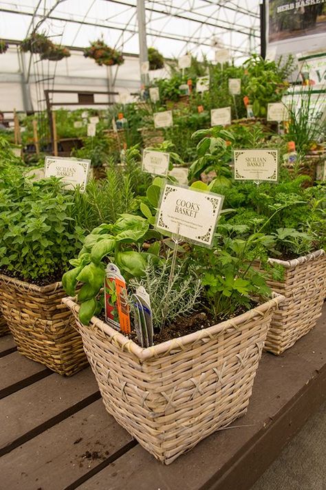 Cute Farm Stand Ideas, Garden Market Ideas, Plant Buisness Ideas, Unique Farmers Market Ideas, Selling Plants At Farmers Market, Farmers Market Gift Basket, Farm Stand Product Ideas, Farmers Market Basket, Summer Veggie Dishes