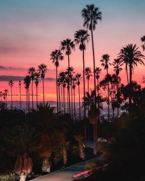 Ventura Boulevard, Los Angeles Travel, Los Angeles California, Beautiful Views, Cali, Angeles, Celestial Bodies, Angel, California