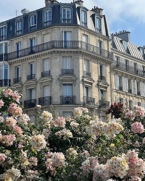 City Aesthetic London, Bouquets Aesthetic, Luxury Plane, Suitcase Luxury, Flying Aesthetic, London Chic, Luxury Suitcase, Fall Pink, Aesthetic Paris