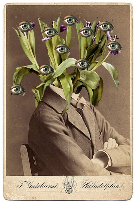 Many Eyes, Surreal Collage Art, Collage Art Projects, Surreal Collage, Soyut Sanat Tabloları, Art Brut, Art And Illustration, Weird Art, Eye Art