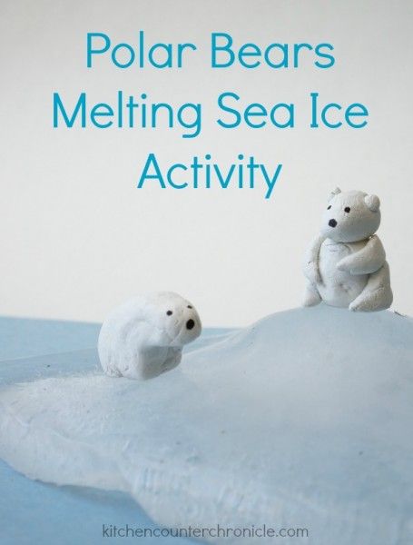 Polar Bear Activity : Teaching kids about the impact of rising global climate and melting sea ice on polar bears. A great STEM activity for kids. Bear Science Activities, Bear Learning Activities, Polar Bear Science, Environmental Science Activities, Polar Activities, Polar Bears Activities, Polar Animals, Sea Ice, Earth Day Activities