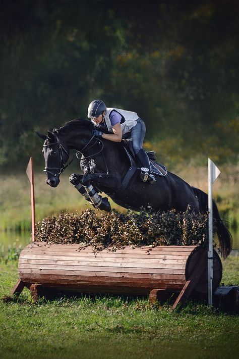 While Tamie Smith rides and competes on many types of horses, Thoroughbreds are one of her favorite breeds 🐴 In our latest edition of “Next Level,” Tamie explains why Thoroughbred blood can be important in an event horse. Read here 👇️ #horseillustrated #tamiesmith #nextleveleventing #eventing #thoroughbred #ottb #retiredracehorse #threedayeventing Horse Thoroughbred, Thourghbreds Horses, Throughbred Horses, Horse Magazine, Fierce Animals, Eventing Horses, Thoroughbred Horse Racing, Western Riding, Types Of Horses