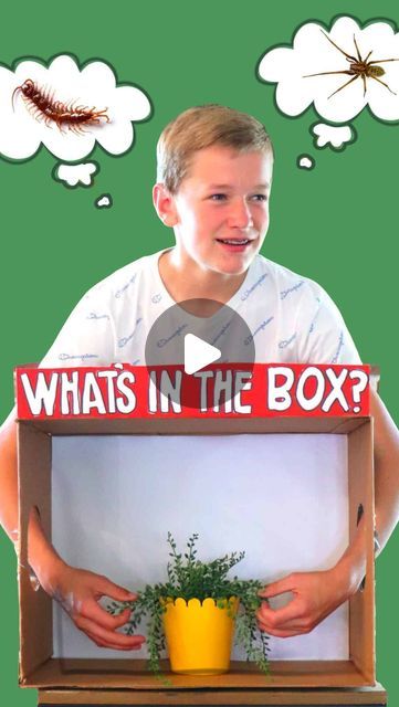 Kimbo- on Instagram: "What’s in the box!? A totally fun game to play this Halloween with gross and spooky things! Full details are here: https://www.agirlandagluegun.com/whats-in-the-box-fun-group-game/" Whats In The Box Challenge, Box Challenge, Fun Group Games, Spooky Things, Game To Play, Fun Group, Group Games, Halloween Treats, Fun Games