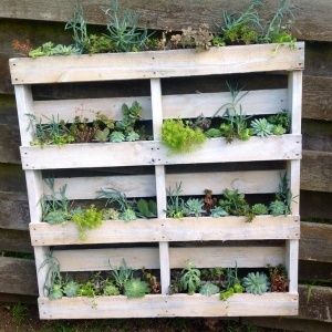 DIY: Pallet Wall Planter - Palmers Garden Centre Garden Pallet Decorations, Pallet Planter Diy, Pallet Garden Walls, Diy Pallet Decoration, Diy Wall Planter, Pallet Projects Garden, Diy Pallet Wall, Pallet Patio, Pallet Planter