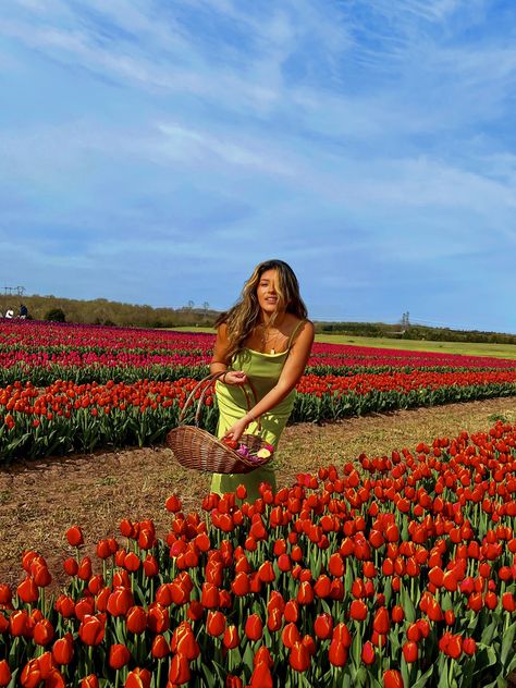 Picking tulips from Burnside Farm in VA Tulip Picking, Tulip Farm, Flower Child, Tulips, Flowers